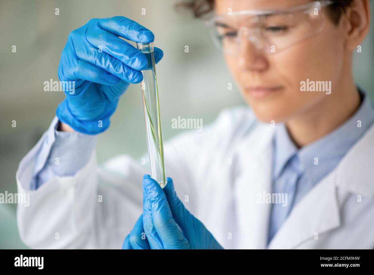 Giovane chimico contemporaneo o ricercatore che guarda la pianta verde dentro matraccio Foto Stock