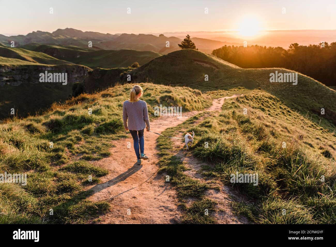 Presteen ragazza che cammina cane al tramonto sul te Mata Peak In Nuova Zelanda Foto Stock