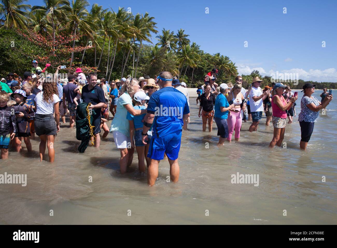 Tartaruga verde riabilitata (Chelonia mydas) rilasciata all'oceano dal Cairns Turtle Rehabilitation Centre. Settembre 2020. Four Mile Bea Foto Stock