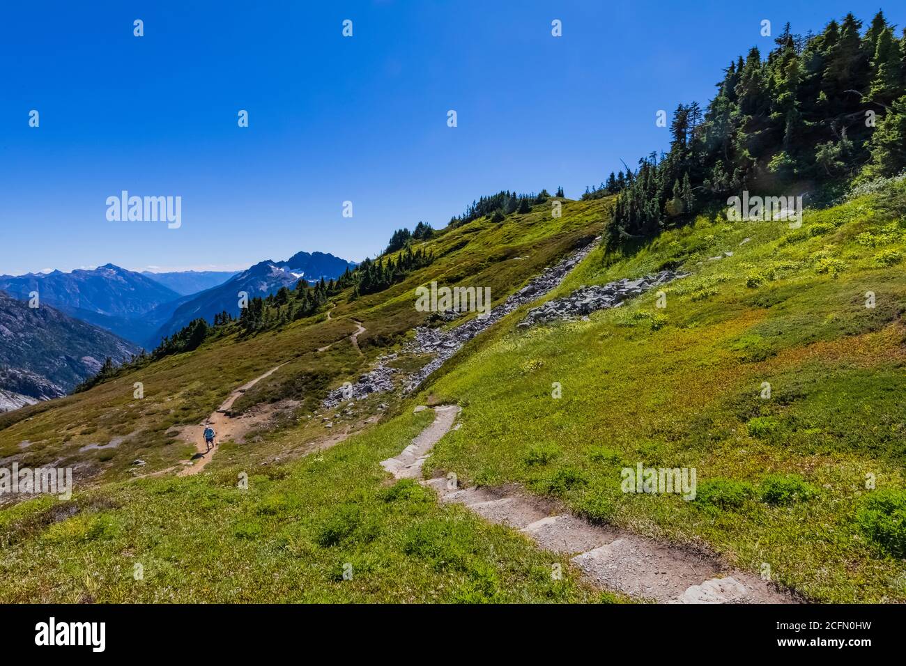 Sahale Arm Trail nel North Cascades National Park, Washington state, USA Foto Stock