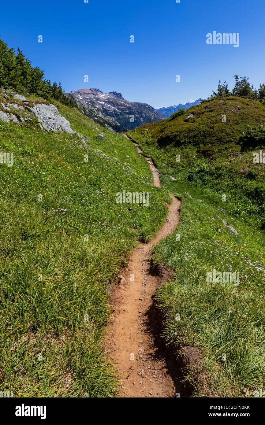 Sentiero laterale per un punto panoramico dal Sahale Arm Trail, con Johannesburg Mountain in lontananza, North Cascades National Park, Washington state, Stati Uniti Foto Stock