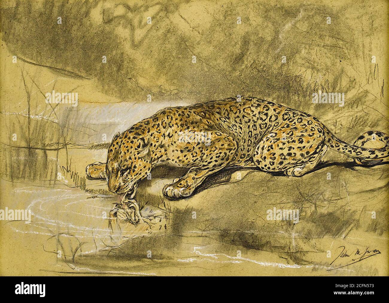 Swan John Macallan - Drinking leopardo da Pond - Inglese Scuola - 19 ° secolo Foto Stock