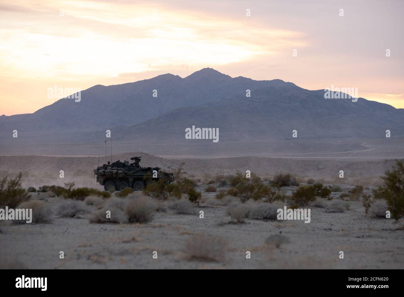 Un veicolo della compagnia di fanteria M1126 assegnato alla prima squadra di combattimento Stryker Brigade, quarta divisione di fanteria, passa attraverso la "scatola" durante la rotazione del National Training Center 20-09 a Fort Irwin, California, 16 agosto 2020. La prima SBCT è stata la prima squadra attiva di combattimento di brigate ad eseguire una rotazione al Centro Nazionale di formazione da quando COVID-19 temporaneamente sospeso l'allenamento lì. (STATI UNITI Esercito foto di Capt. Daniel Parker) Foto Stock