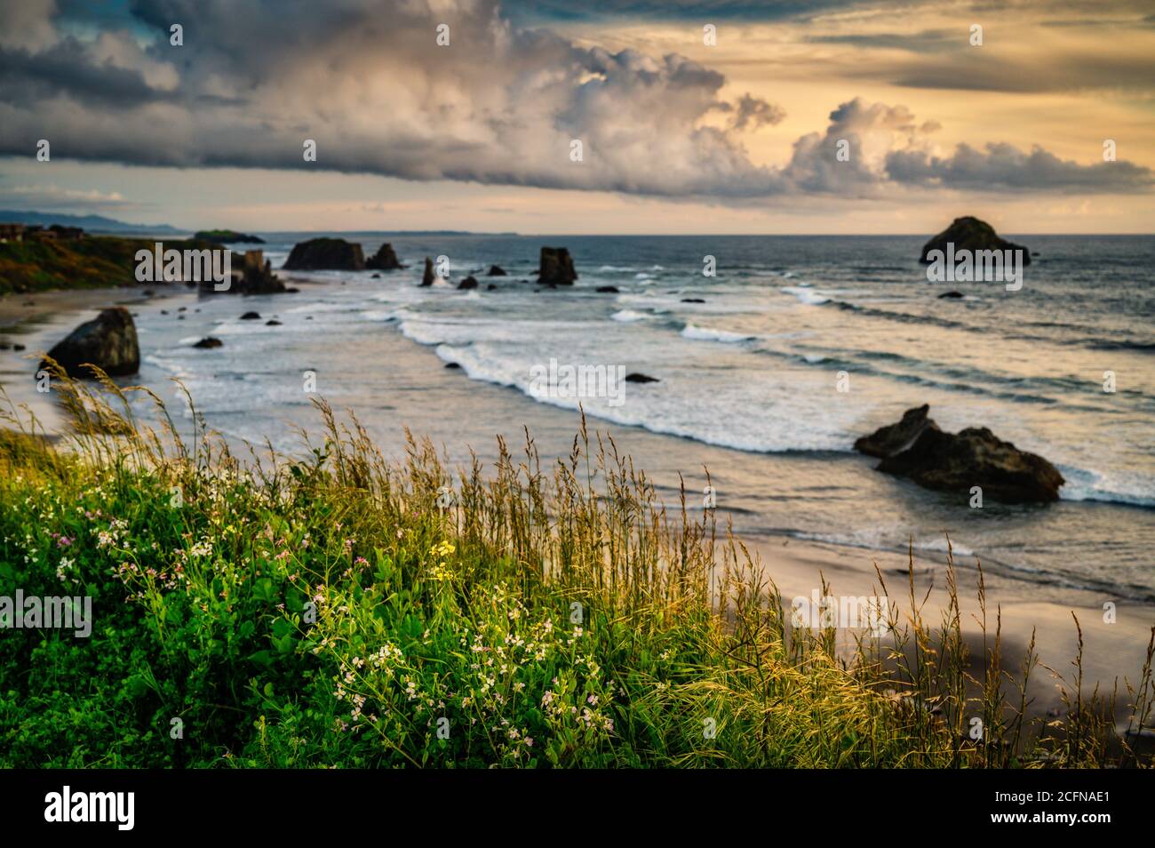 Tempesta drammatica nuvole sulla spiaggia con le pile di mare in Oregon, Stati Uniti Foto Stock