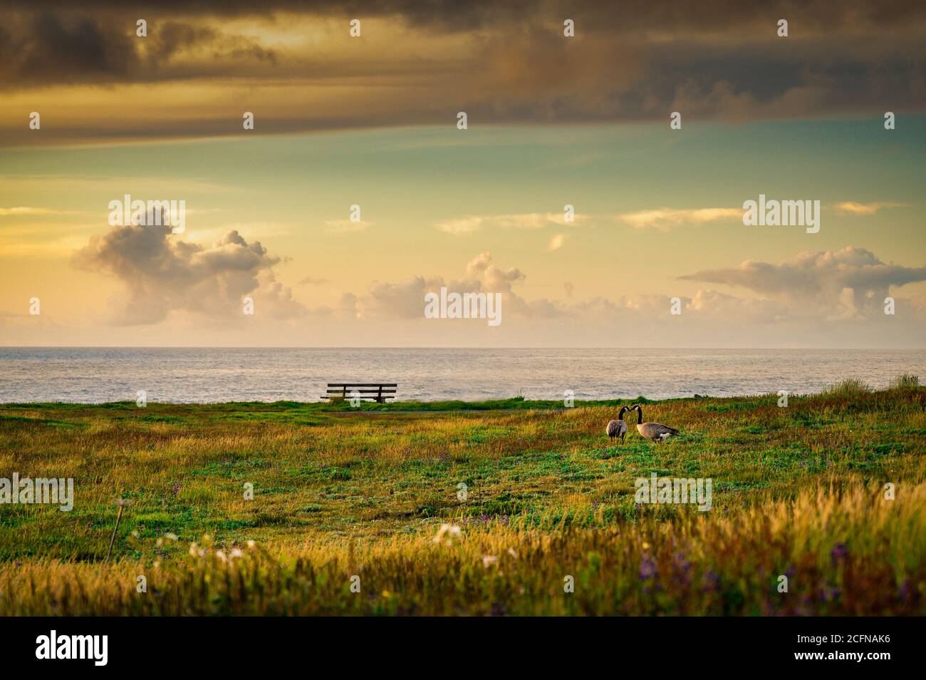 Tramonto costiero con nubi tempeste e panca che si affaccia sull'oceano Foto Stock