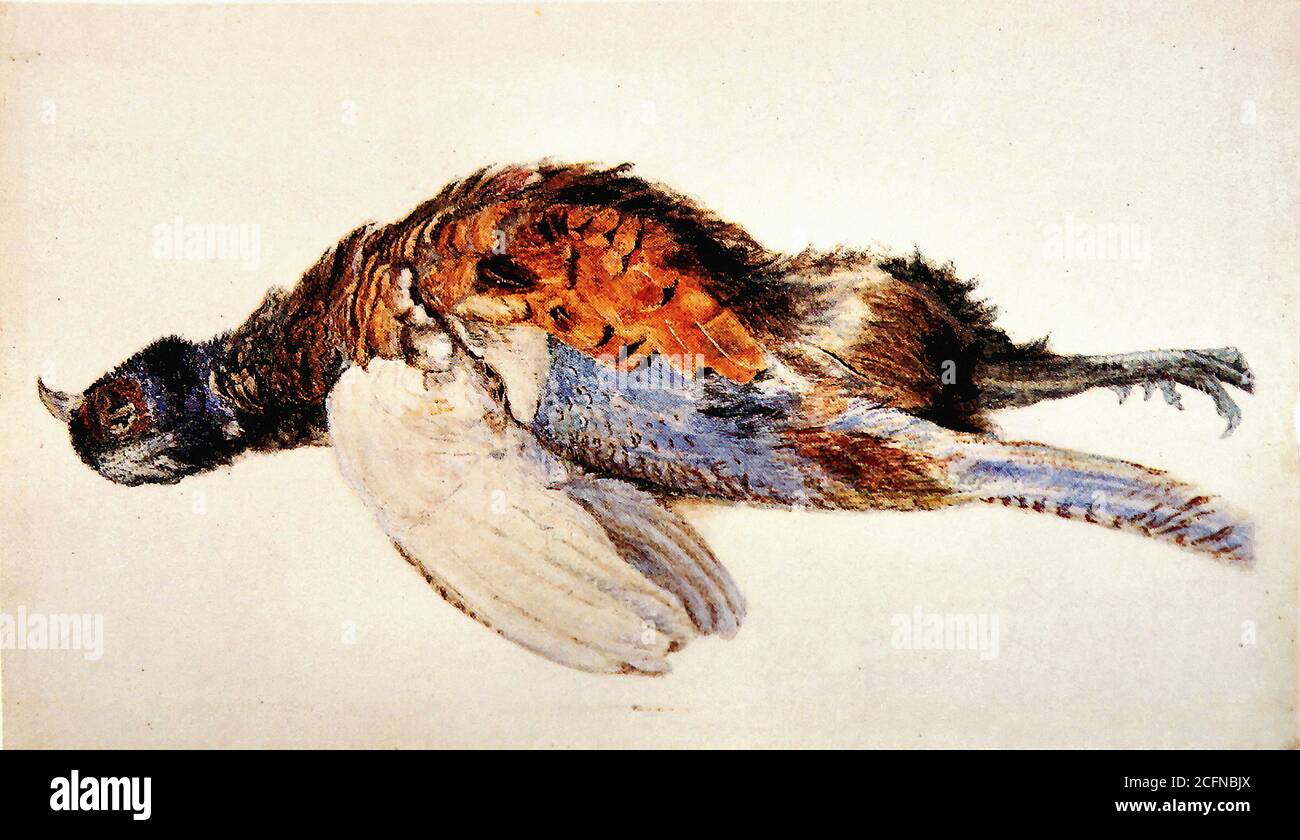 Ruskin John - Dead Pheasant - British School - 19 Secolo Foto Stock