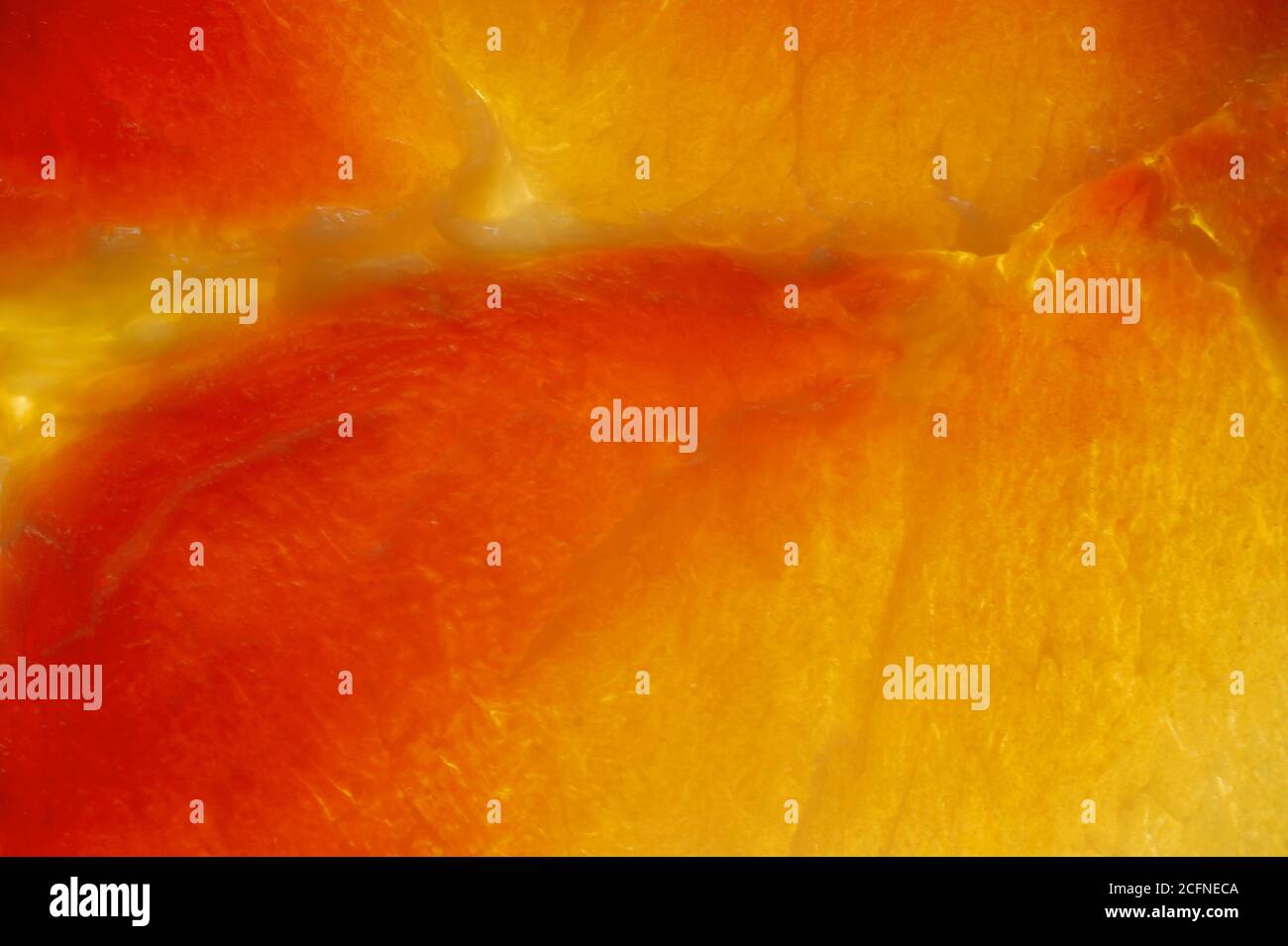 foto d'arte di una sottile fetta di carne di maiale su per sfondo sfocato Foto Stock