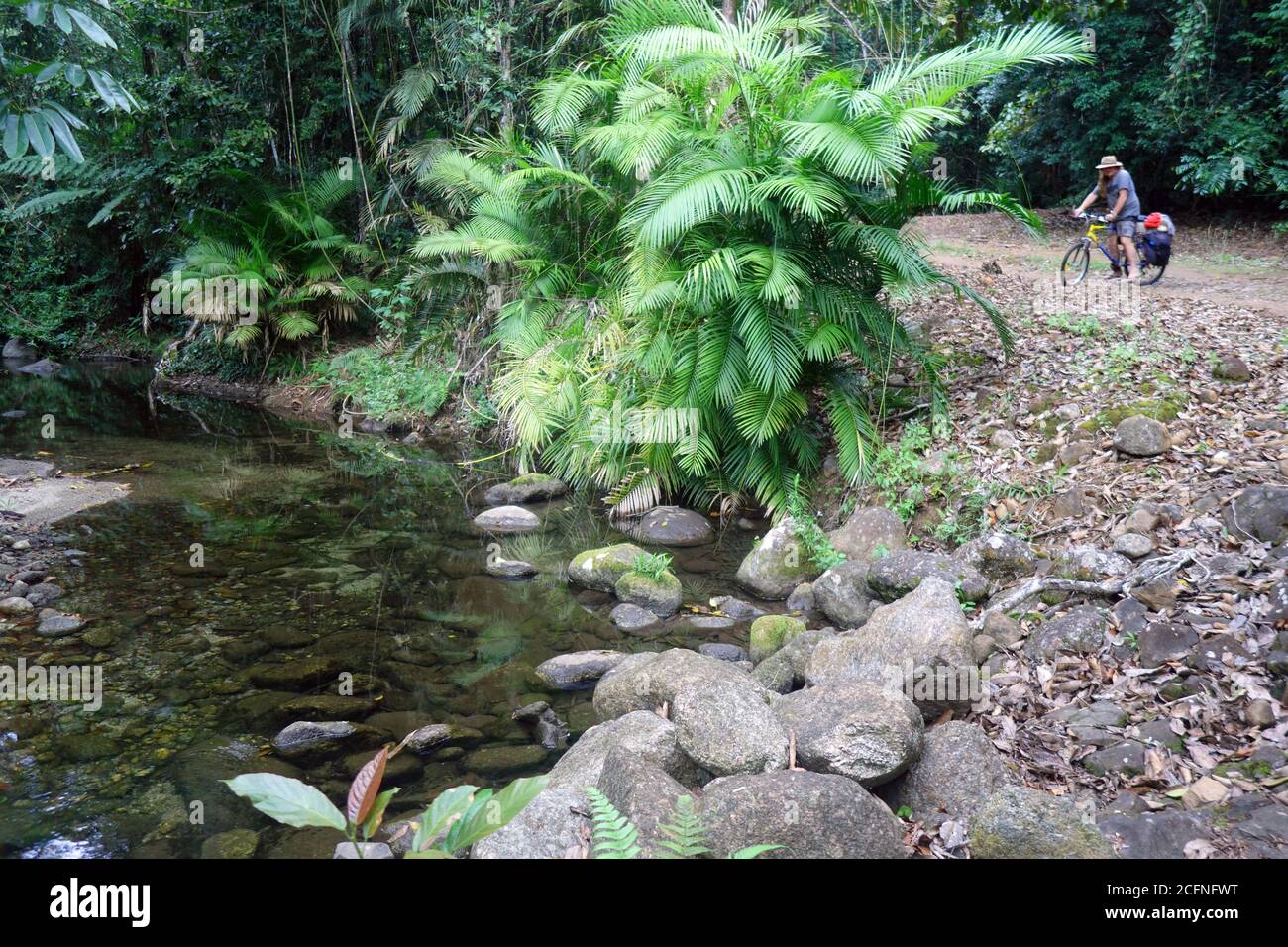 Rainforest Creek che attraversa Goldfields Track, con l'uomo in mountain bike, Wooonooroonan National Park, Queensland, Australia. No MR o PR Foto Stock