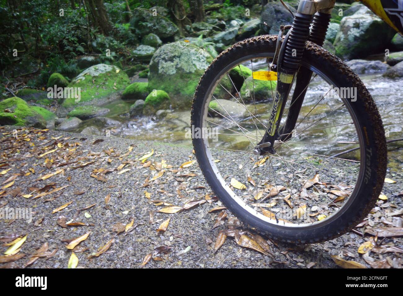 Mountain bike sul Goldfield Trail, Woonooroonan National Park, vicino a Cairns, Queensland, Australia. No PR Foto Stock