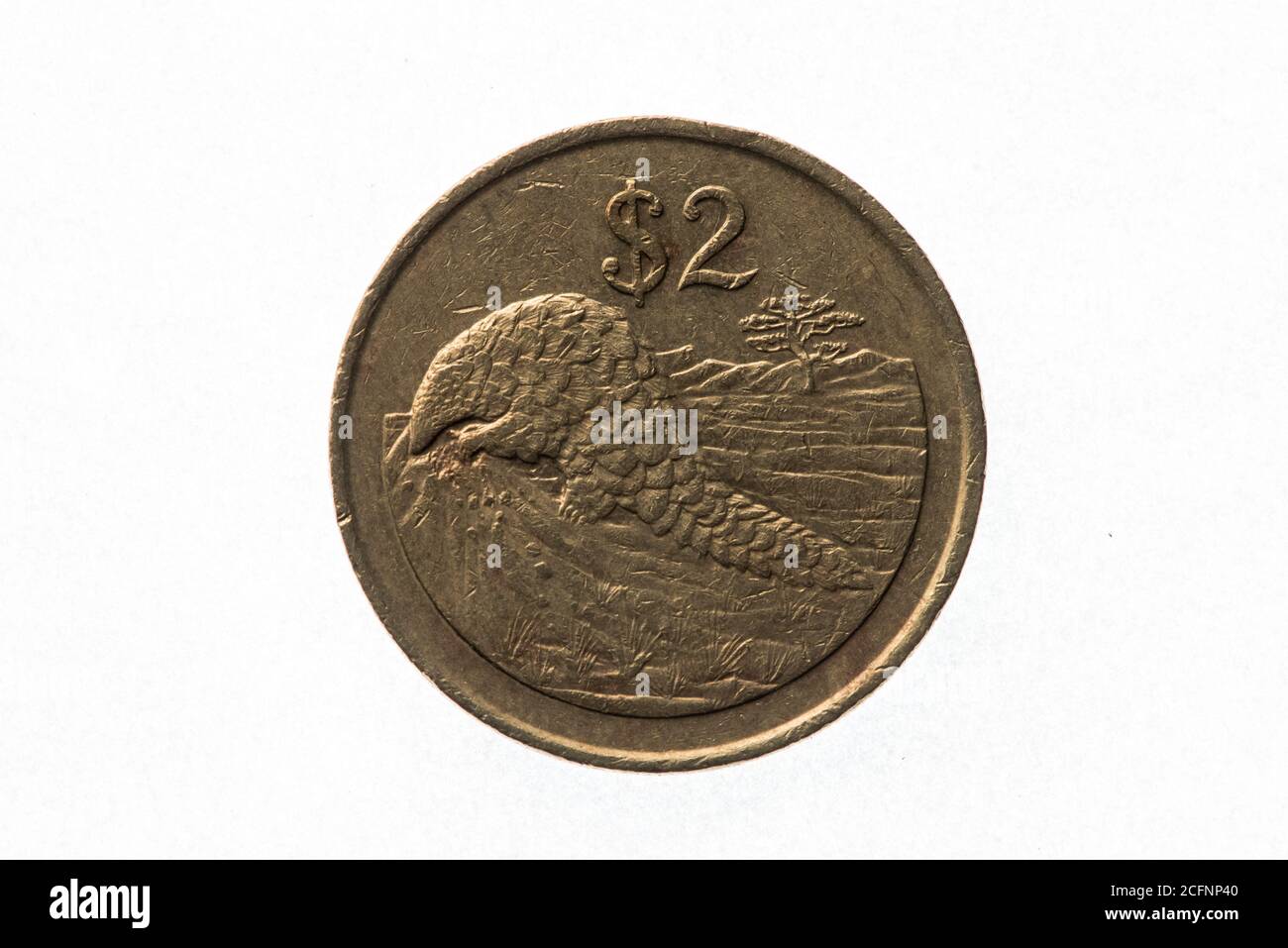 Un pangolino africano, un animale in pericolo, sulla moneta da 2 dollari dello Zimbabwe. Foto Stock