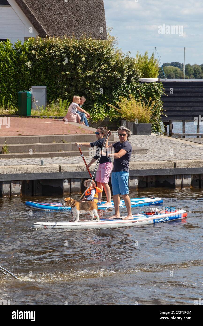 Paesi Bassi, Loosdrecht, Loosdrechtse Plassen. Uomo, donna, bambino en cane su tavola sup. Foto Stock