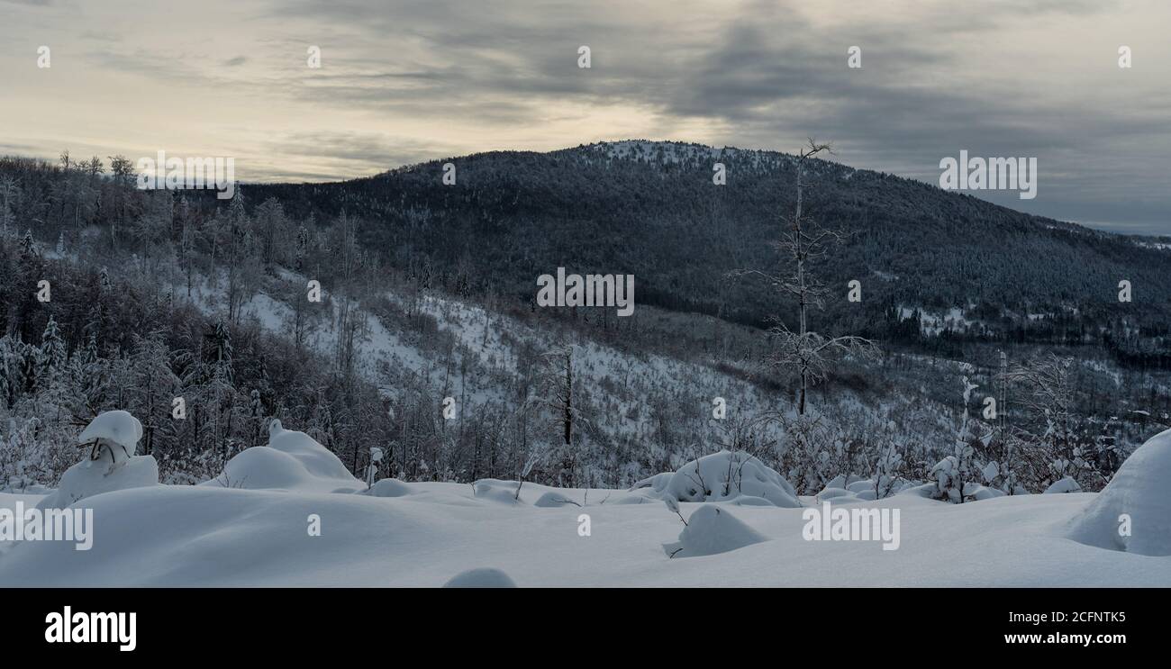 Velka Raca - la collina più alta delle montagne di Kysucke Beskydy su slovacco - confini lucidati durante la gelida giornata invernale Foto Stock