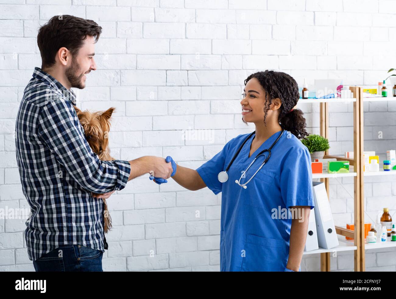 Medico veterinario e proprietario del cane scuotendo le mani all'ospedale animale Foto Stock