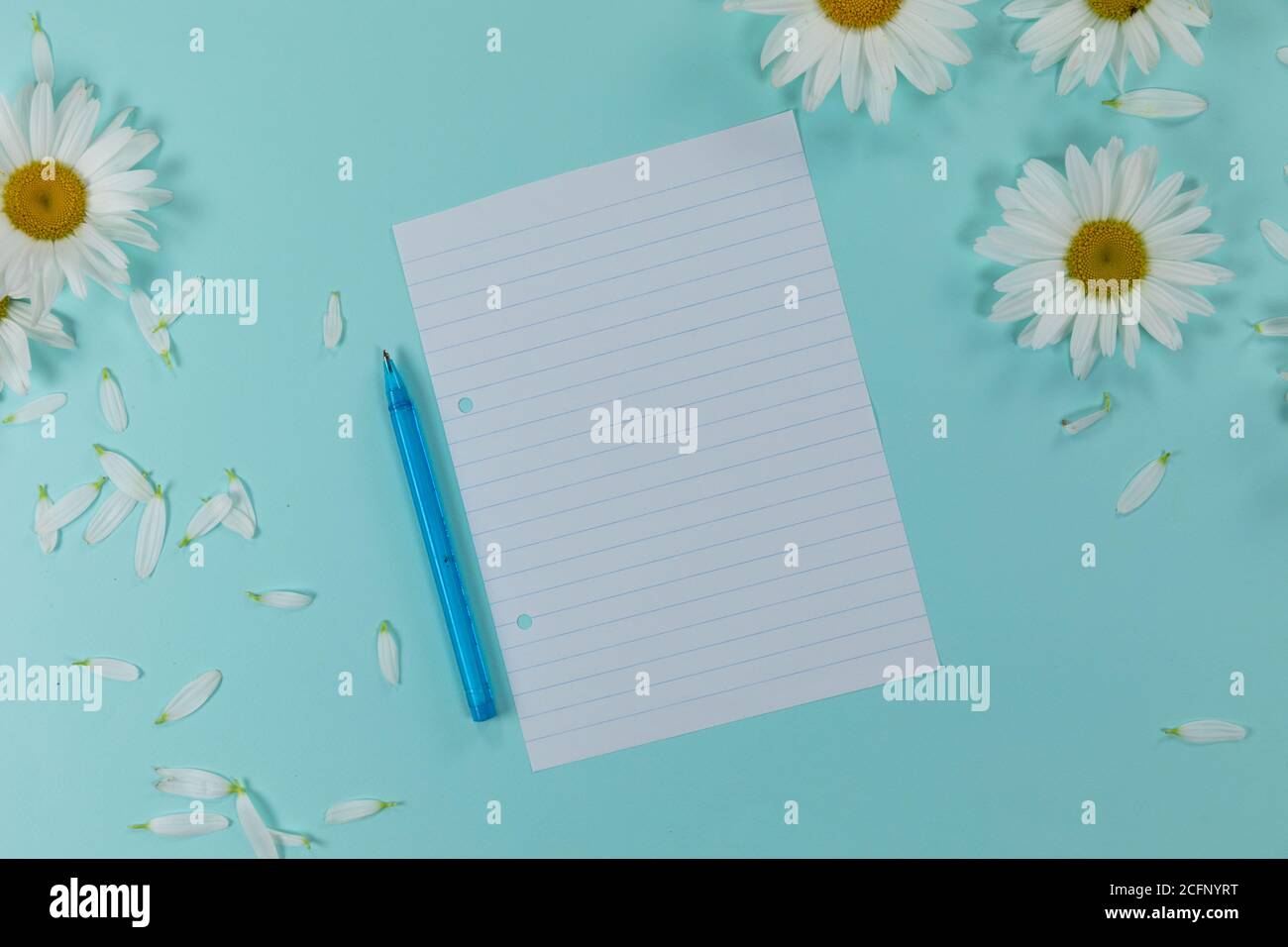 Vista di un foglio di carta con una penna circondata da margherite e petali su sfondo blu Foto Stock