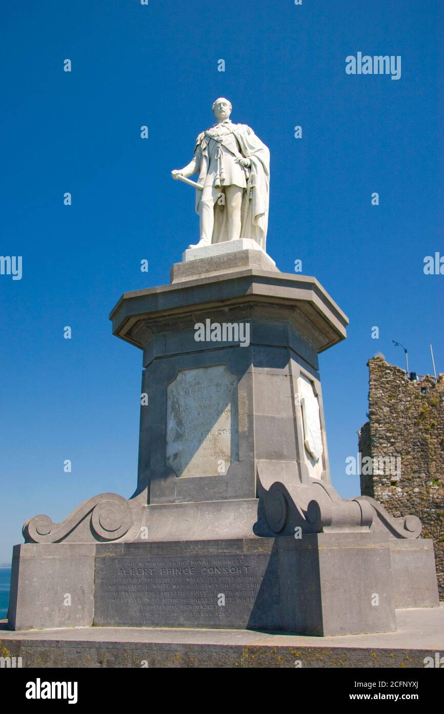 Statua di Prince Albert, Tenby, Pembrokeshire, Galles occidentale, Regno Unito Foto Stock