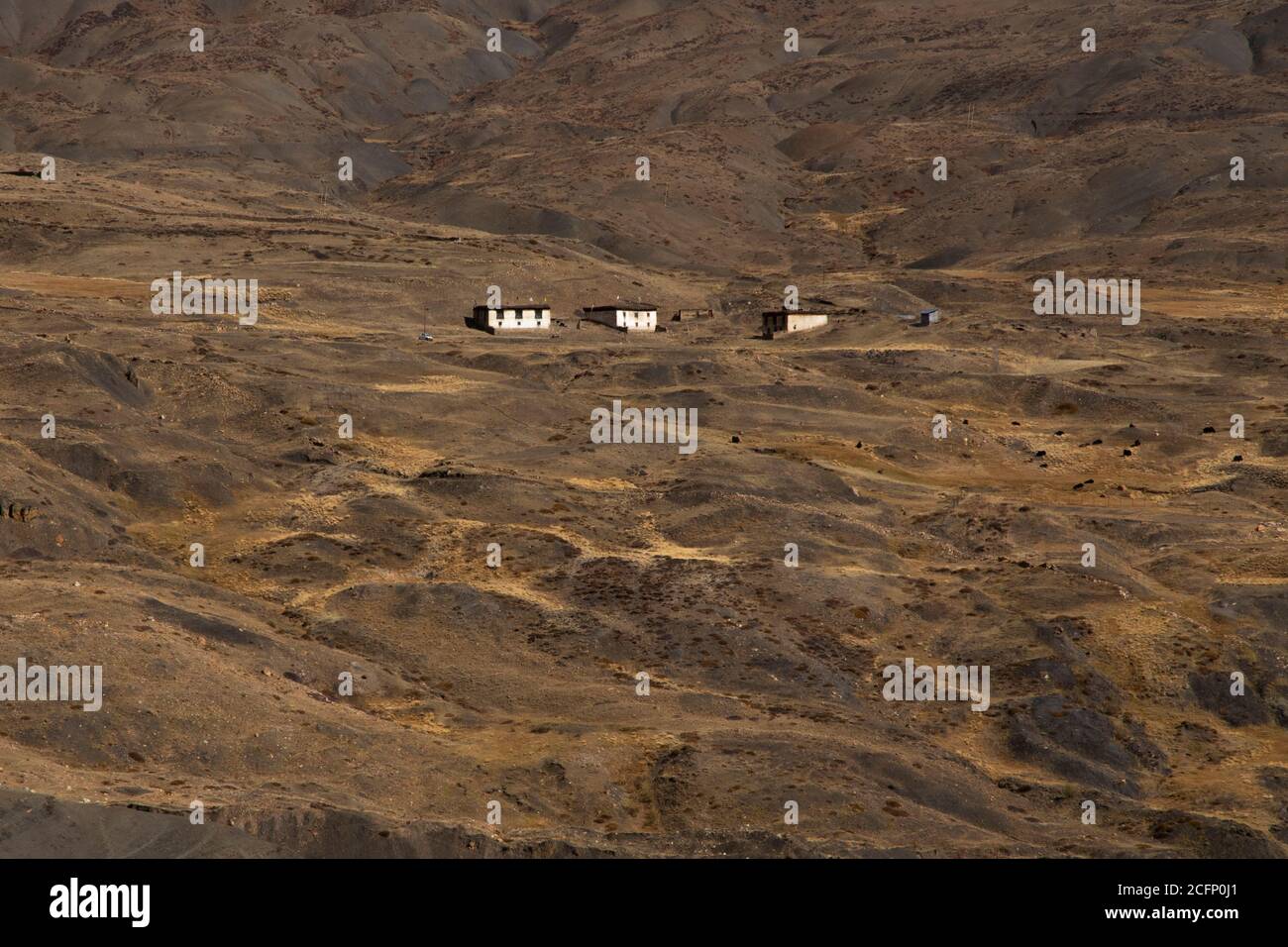 Astratti motivi naturali e texture su terra remota con piccoli villaggi, fiumi, vegetazione minima, luce e ombra Foto Stock