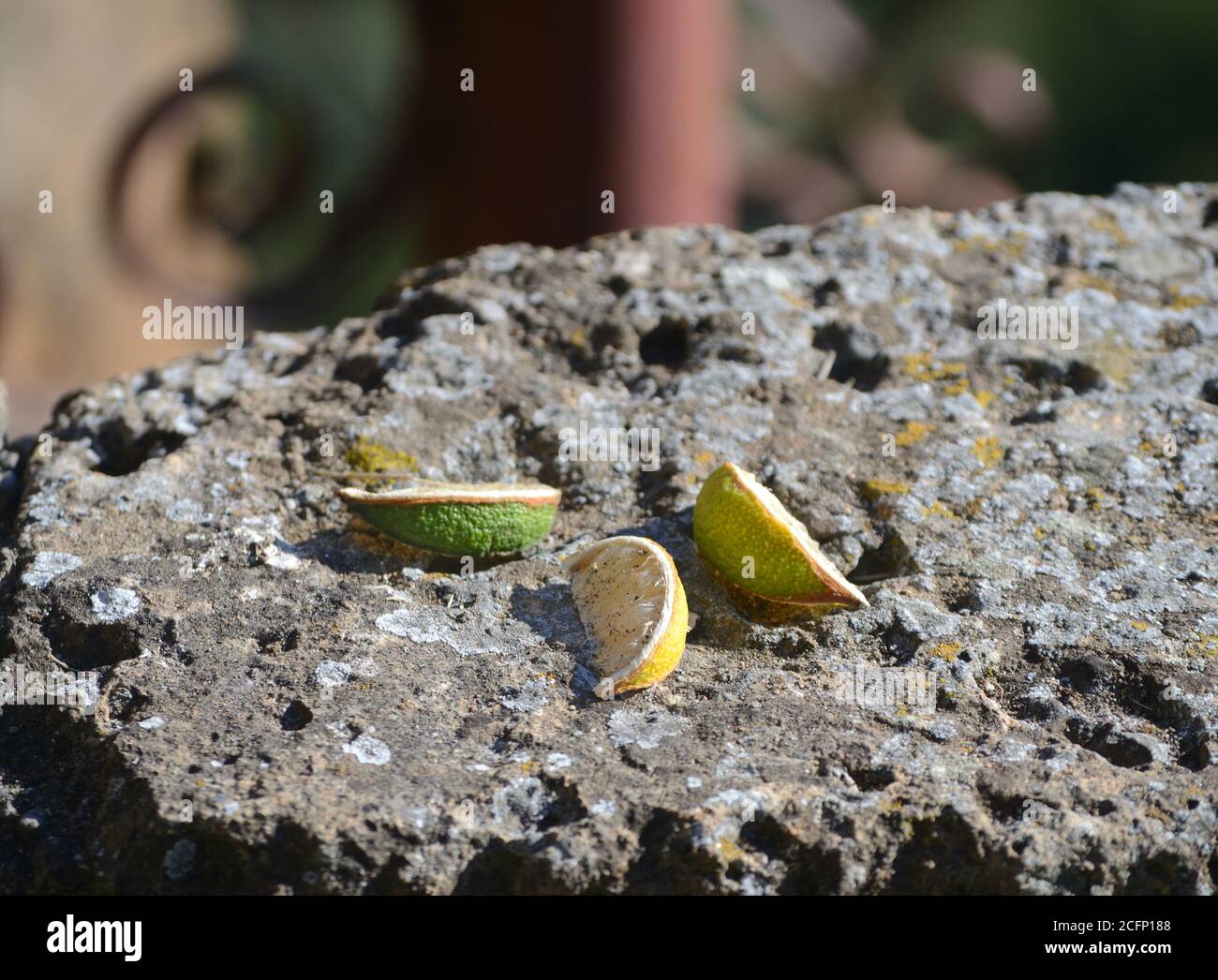 tre spicchi di limone su un vecchio muro di pietra Foto Stock