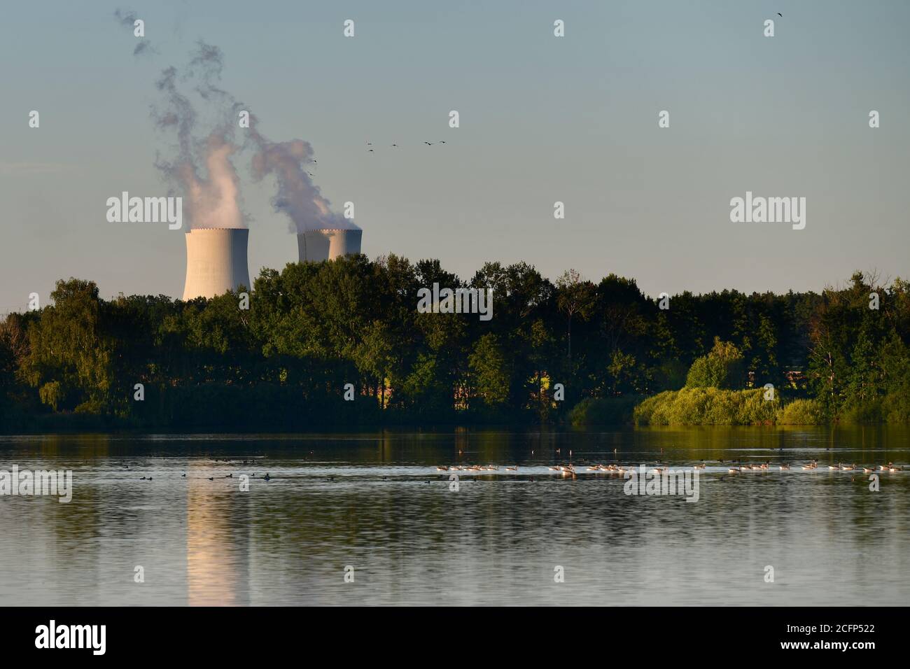 Uccelli che volano vicino alle torri di raffreddamento fumatori della centrale nucleare. Temelin, Repubblica Ceca Foto Stock