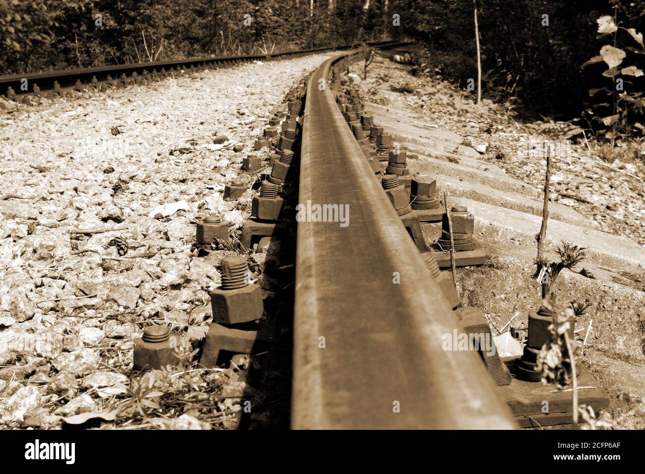 Vecchia ferrovia forestale con rotaie arrugginite che vanno in lontananza, tono di seppia Foto Stock