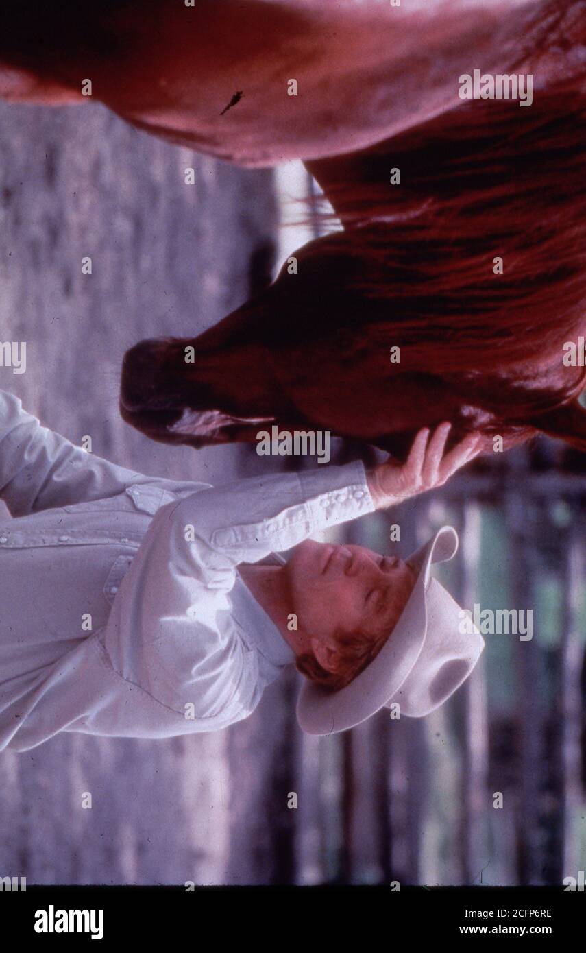 L Uomo Che Sussurrava Ai Cavalli Immagini E Fotos Stock Alamy