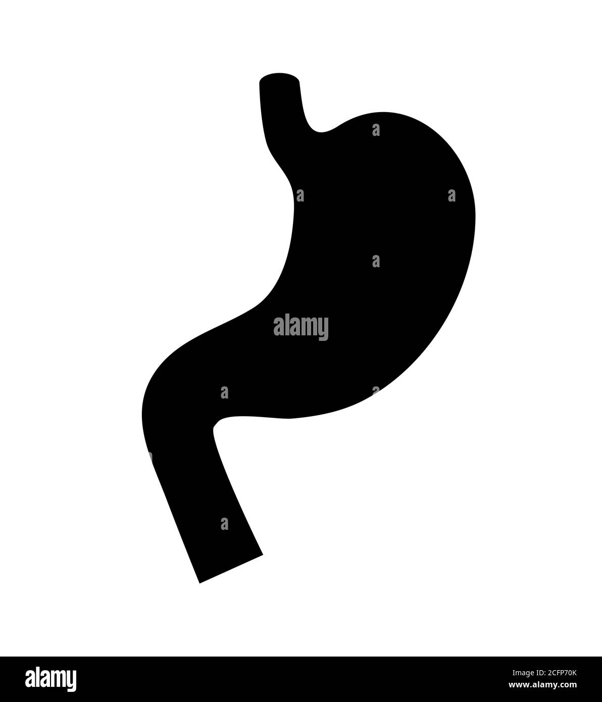 Silhouette icona stomaco su sfondo bianco. Organo interno senza dettagli Illustrazione Vettoriale
