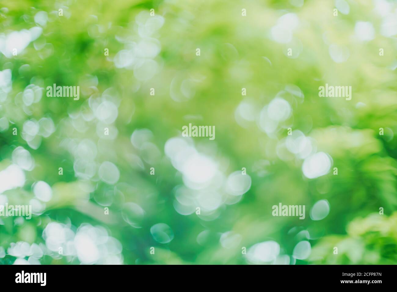 Sfondo bokeh verde astratto sfocato Foto Stock