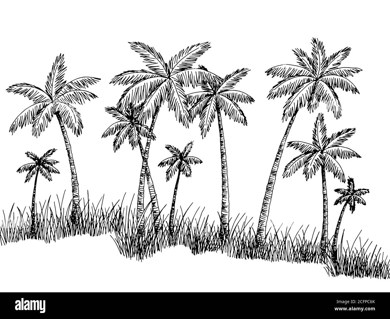 Piantagione di palma grafico bianco nero disegno grafico di disegno di paesaggio vettore Illustrazione Vettoriale