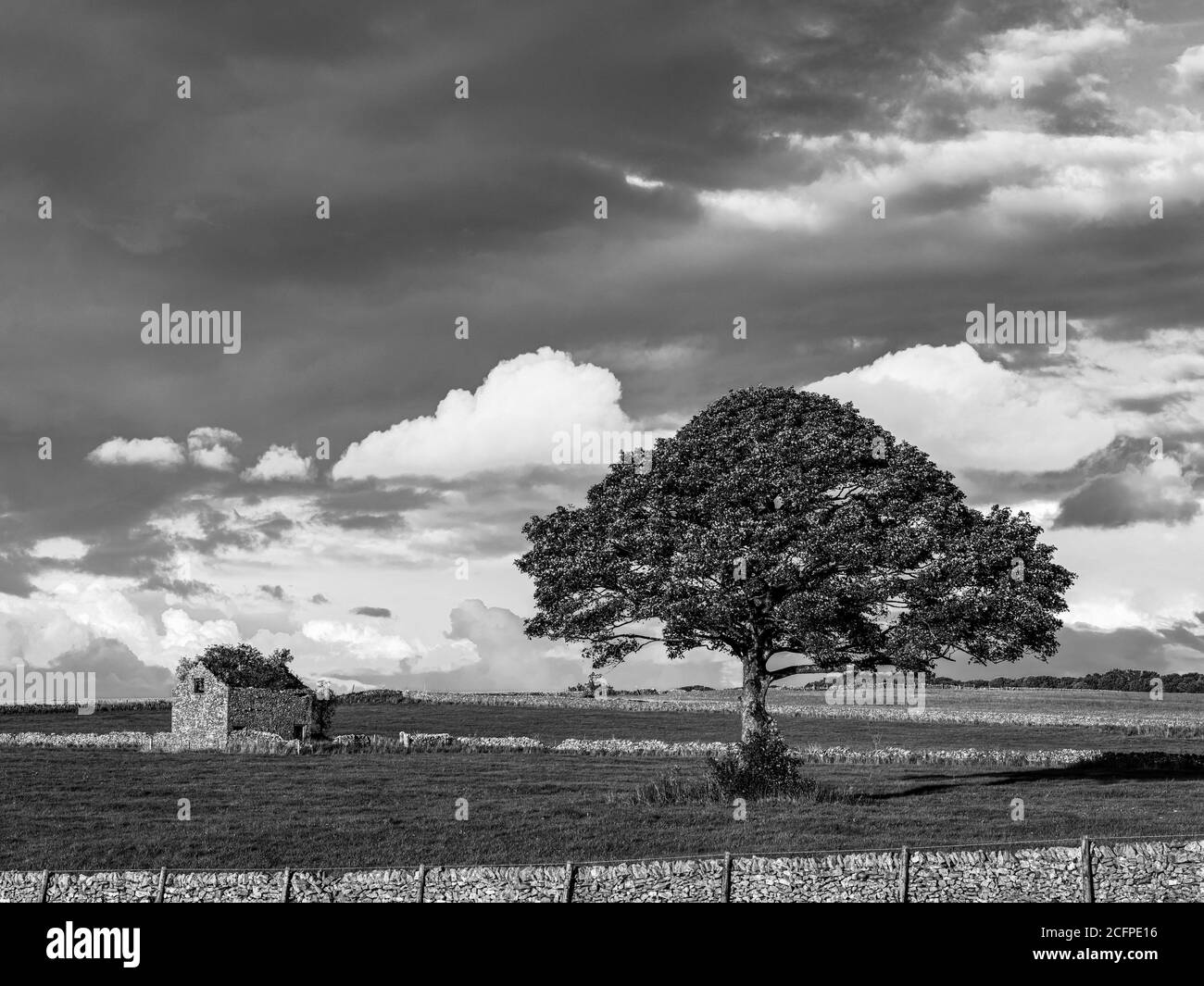 Loan Tree e Derelict Barn Foto Stock