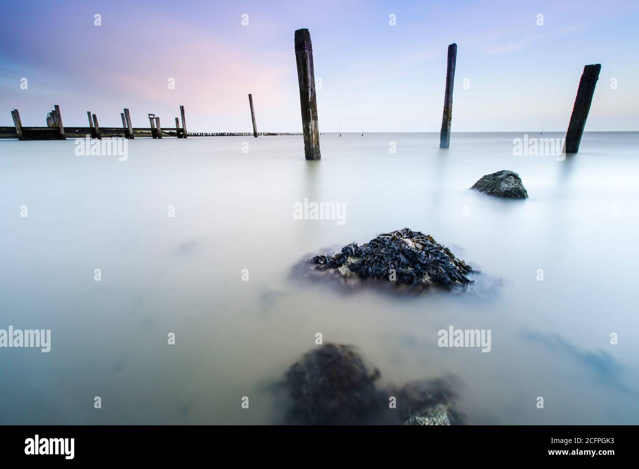 Pali di legno nel mare di Wadden su Texel, Olanda, Texel Foto Stock