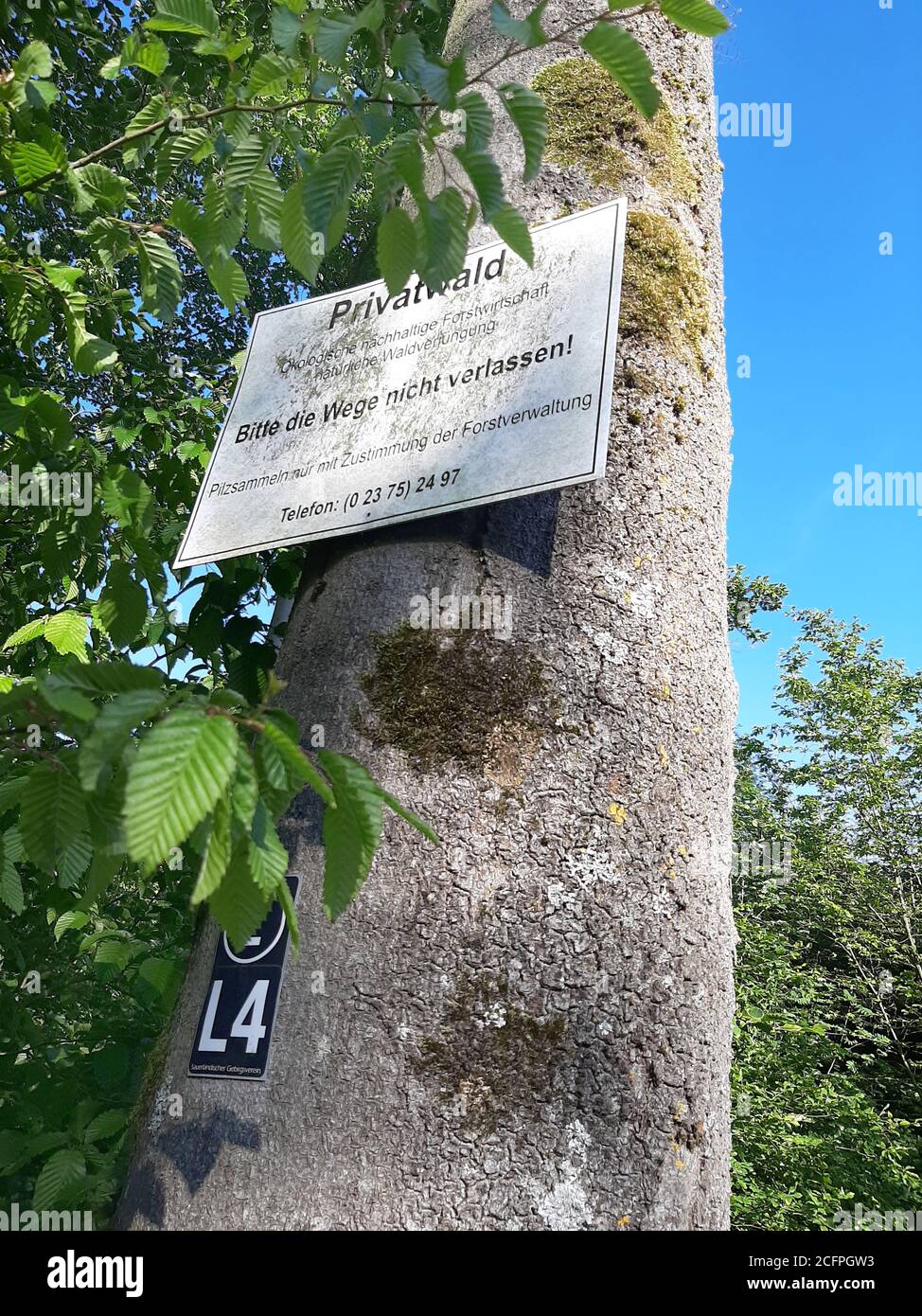 Cartello informativo per i visitatori di una foresta privata, Germania Foto Stock