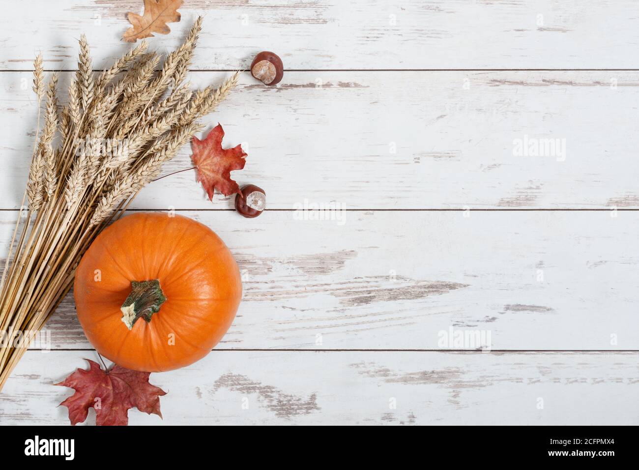 Zucca, mazzo di grano e foglie secche su sfondo bianco di legno vista dall'alto. Composizione autunnale. Giorno di ringraziamento. Foto Stock