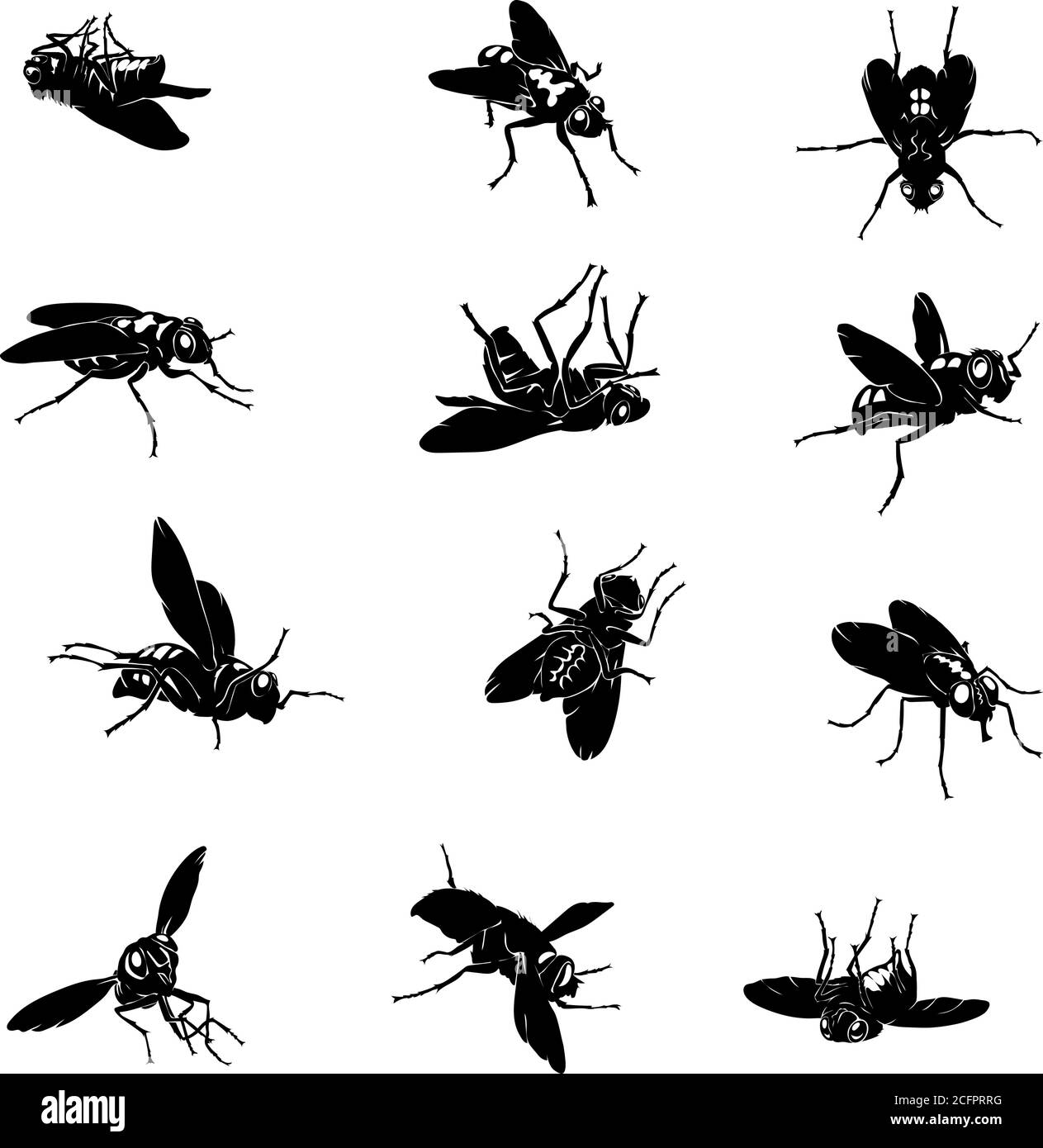 mosca, insetto, pose varie, movimenti e scorci di figure, nero, colore, modello, vettore, disegno, silhouette, occhi, disegno, simbolo Illustrazione Vettoriale