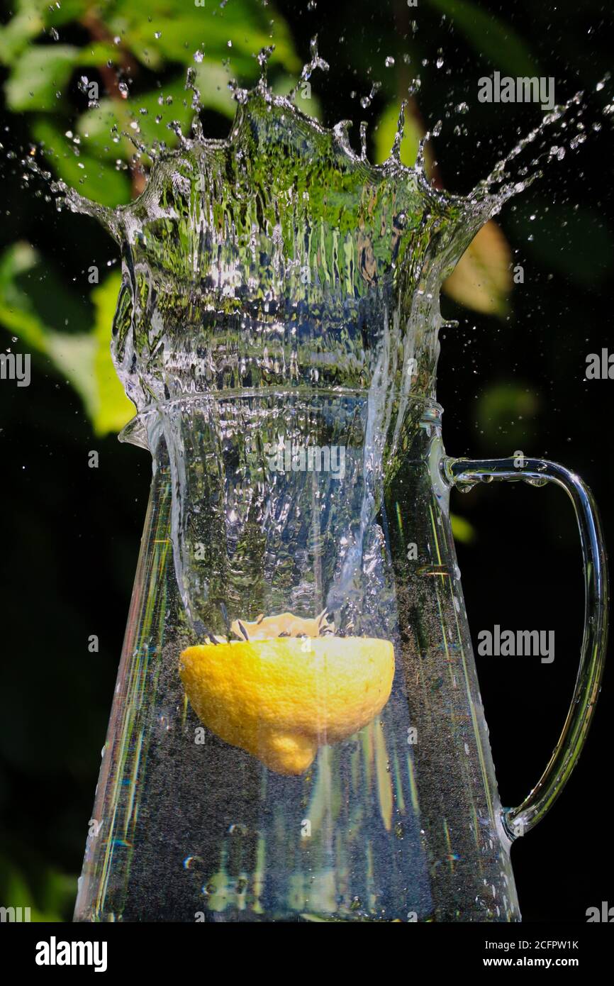 Perfetta spruzzata d'acqua dal caraffa in vetro con mezzo limone giallo all'interno nel giardino. Freeze movimento di bella forma d'acqua. Foto Stock