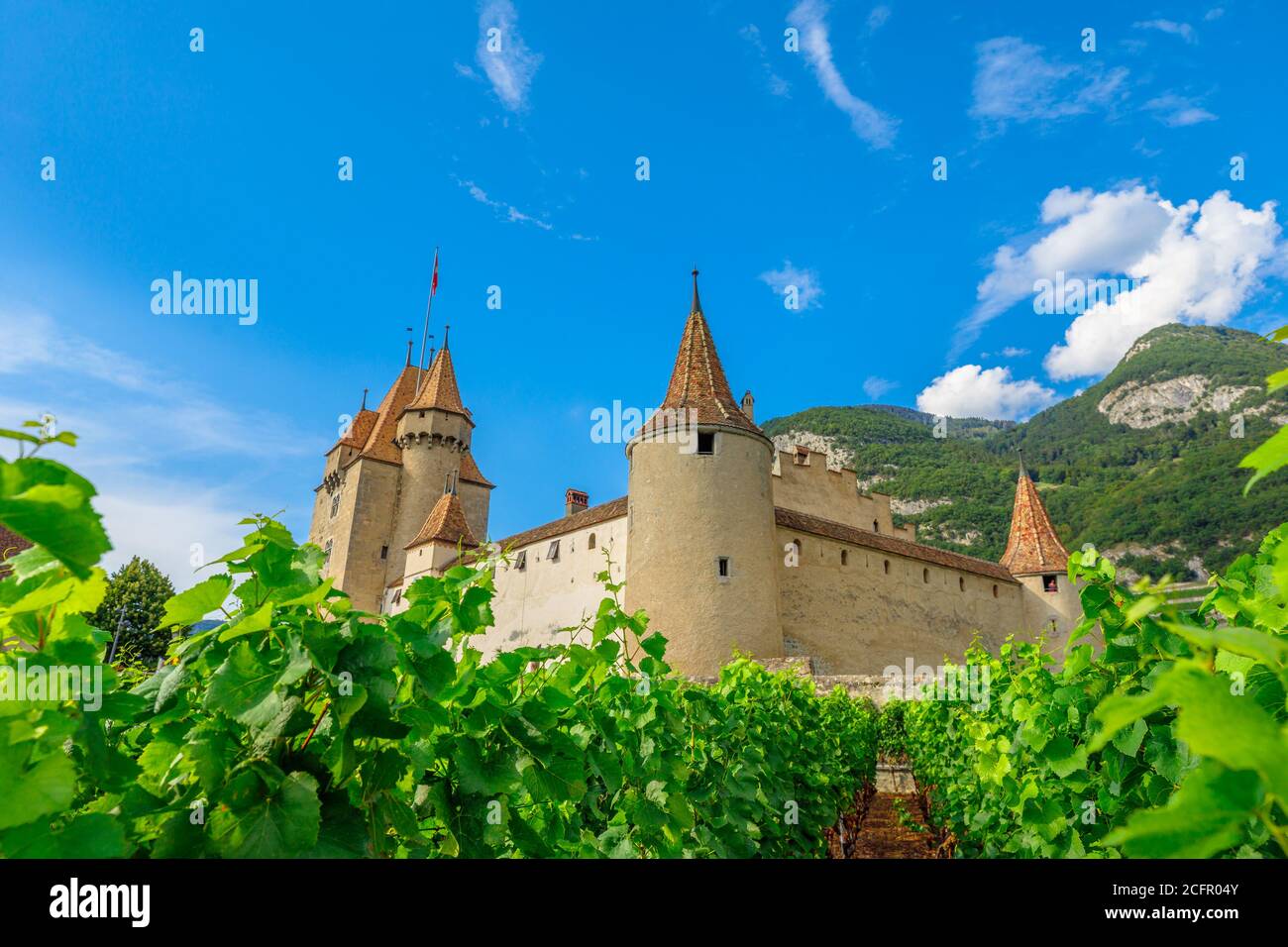 Foglie d'uva in primo piano e filari di viti circondano Chateau d'Aigle nel Cantone di Vaud, Svizzera. Castello di Aigle con vista sui vigneti terrazzati, svizzero Foto Stock