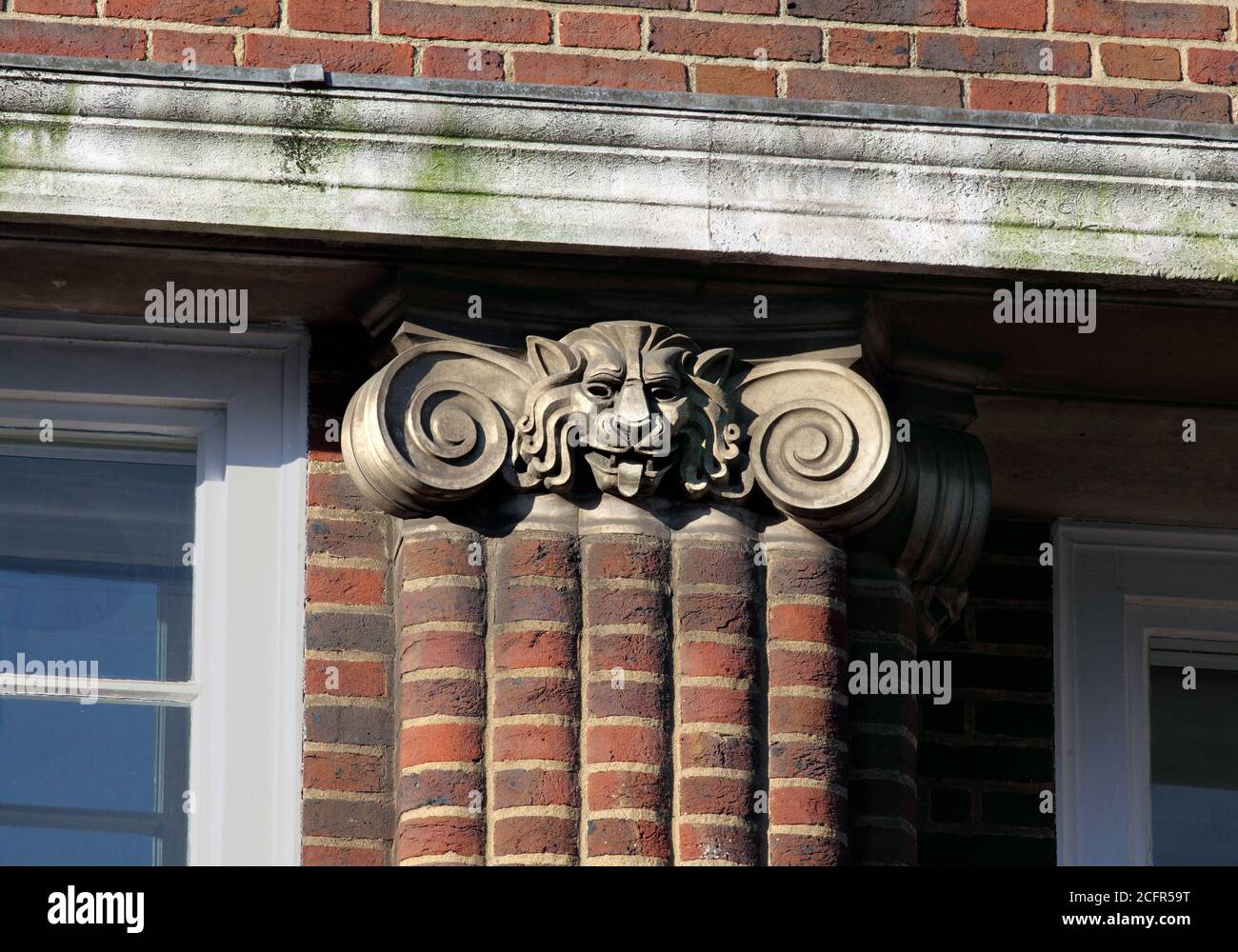 Primo piano della capitale ionica con la testa di un leone, in cima a un pilaster in mattoni su Refuge House, North St, Brighton. Foto Stock