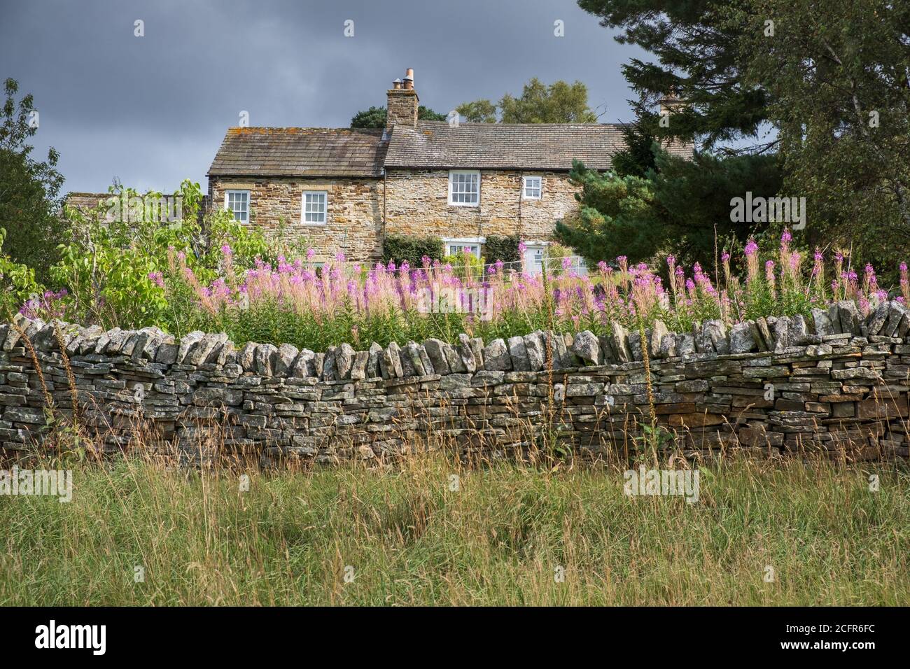 Casa di campagna inglese, appartata casa colonica Northumberland dietro un muro di pietra a secco Foto Stock