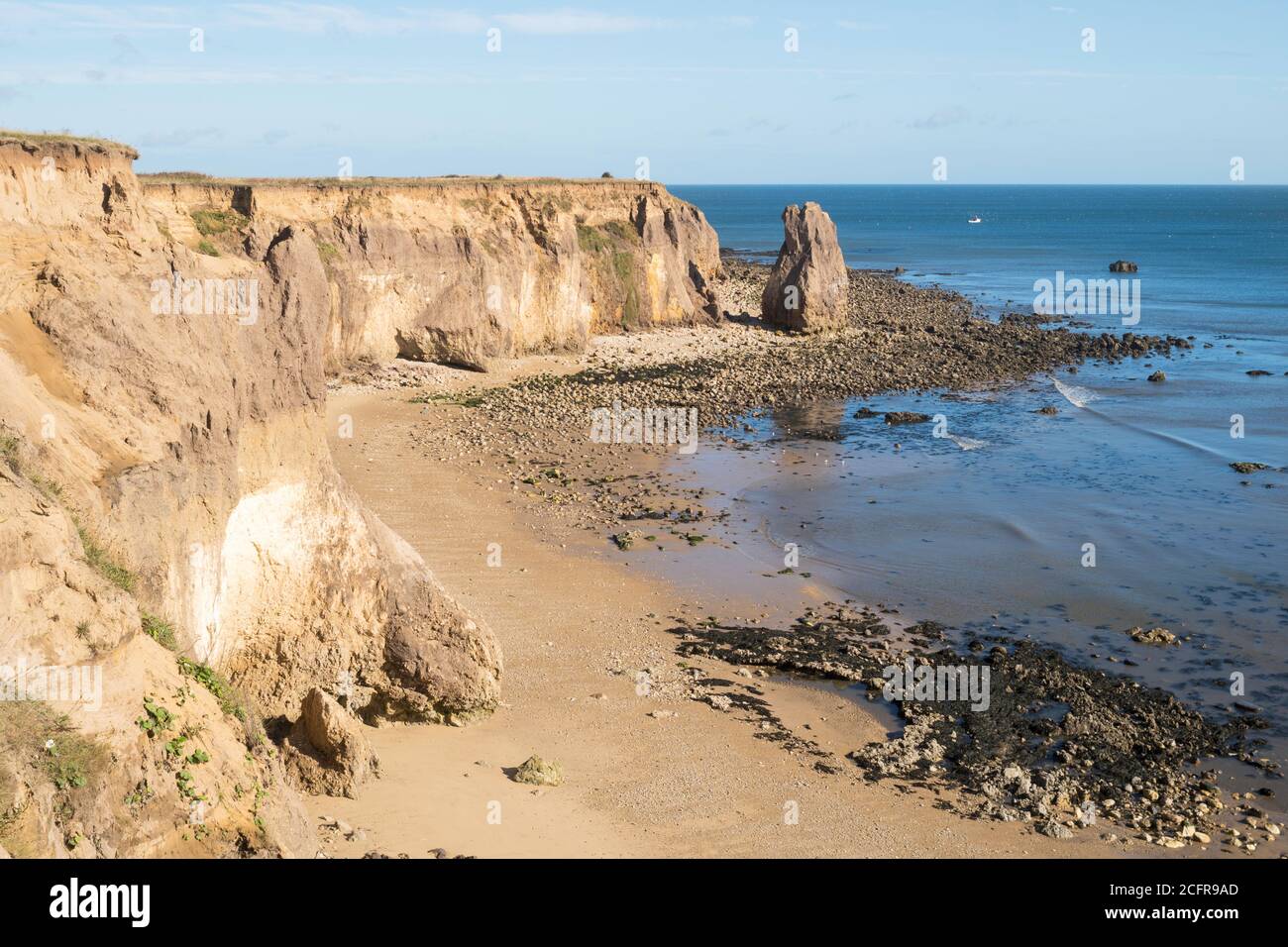 Guardando a nord lungo la spiaggia e le scogliere di RyHope verso uno stack di mare, Inghilterra nord-orientale, Regno Unito Foto Stock