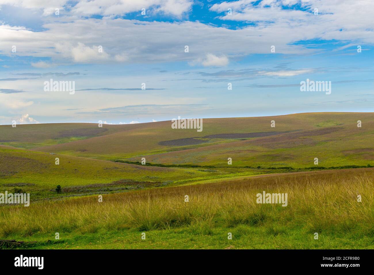 Altopiano di Nyika, Malawi, Africa: Paesaggio ondulato con colline, erba, pianure e cielo con le nuvole Foto Stock