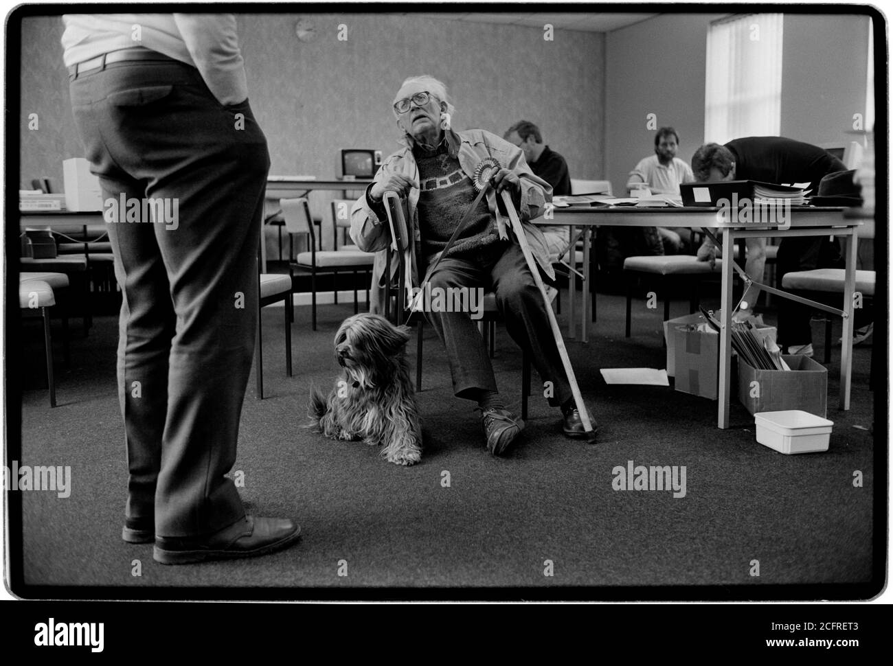 Michael Foot Labour Party leader nella sua ultima campagna elettorale a Breckon e Radnor, Galles, Regno Unito, aprile 1994 con la sua squadra elettorale e Dizzy suo fedele cane Foto Stock