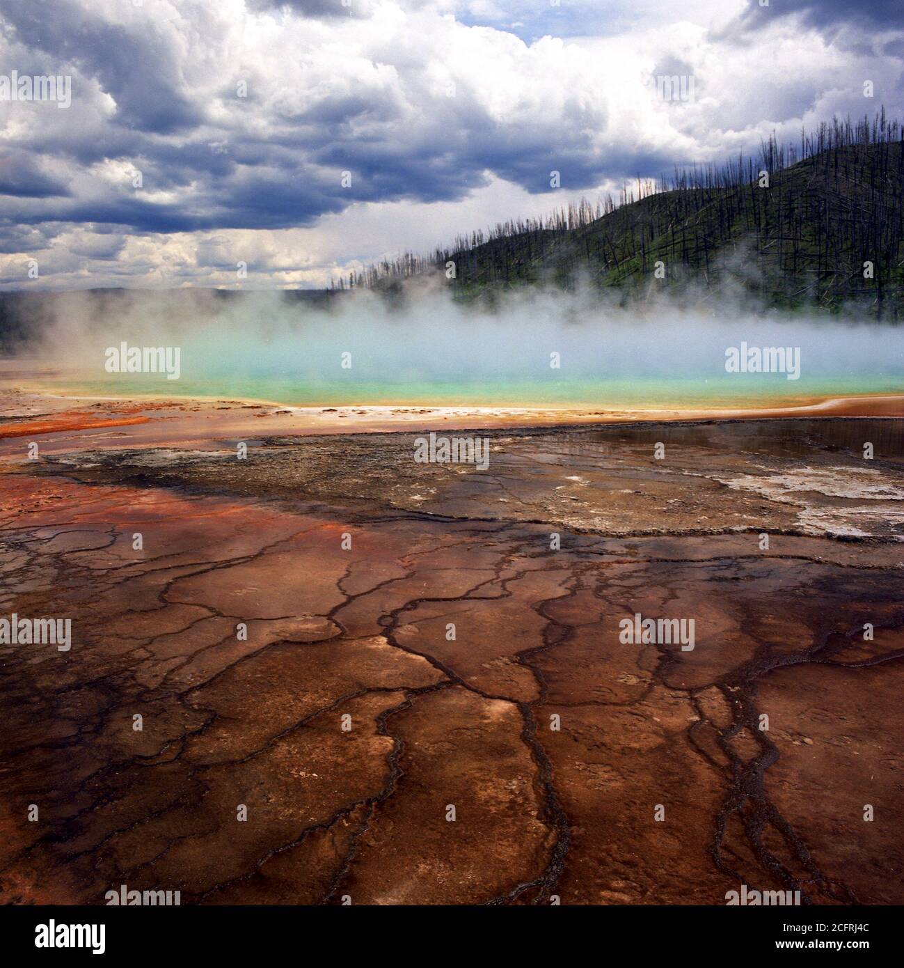 Enorme piscina prismatica nel Parco Nazionale di Yellowstone. Questo fenomeno dimostra l'incredibile varietà di colori di questa caratteristica naturale scenografica. Foto Stock