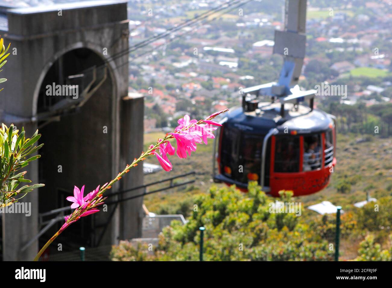 Una funivia di Table Mountain che inizia a salire sulla montagna. Foto Stock
