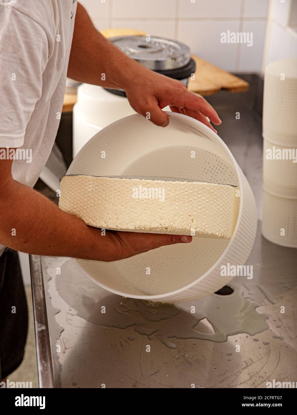 Close-up di un uomo di formaggio di formatura in stampi di plastica presso la piccola fattoria di produzione Foto Stock
