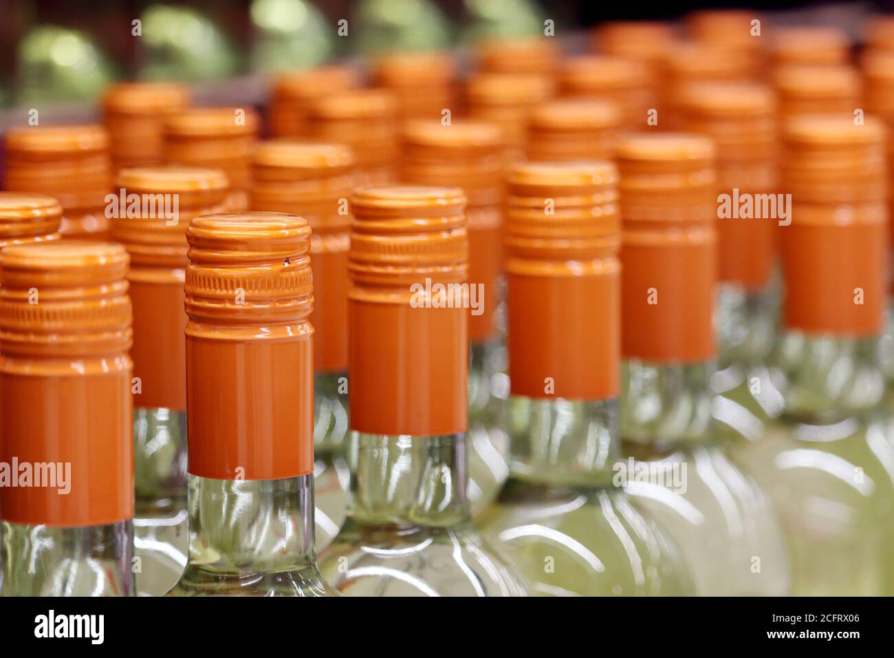 Bottiglie di vino in una fila, fuoco selettivo. Negozio di liquori, concetto di produzione di vino bianco Foto Stock