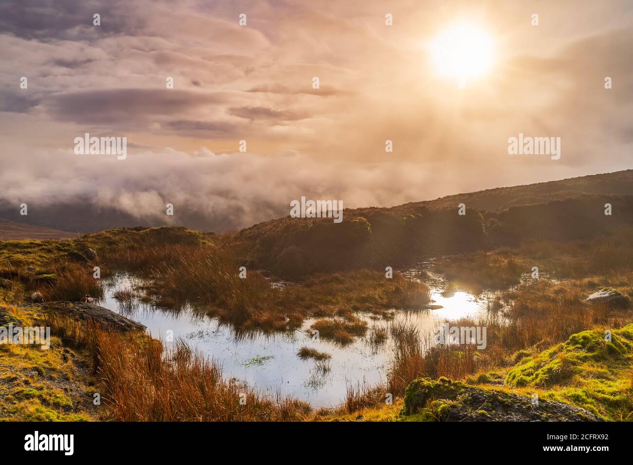 Nebbia, nebbia e cielo drammatico su una palude o palude con il sole che si riflette in una pozza. Suggestivo paesaggio delle montagne di Wicklow, Irlanda Foto Stock