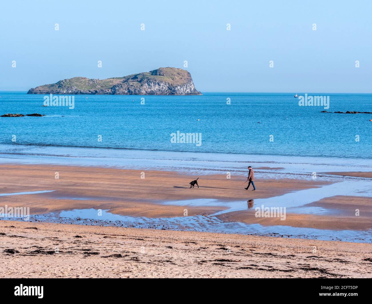 Uomo che cammina il suo cane su West Beach, North Berwick, Scozia, Regno Unito. Foto Stock
