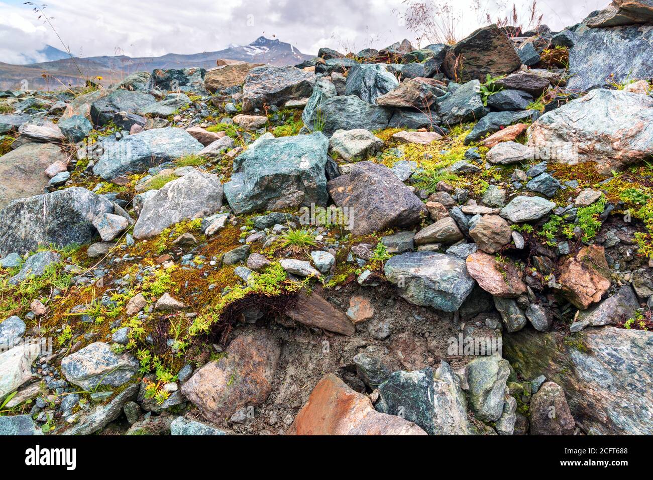 Profilo del suolo di un Leptosol e il picco di Hinteres Modereck presso l'Elendboden presso la strada alpina Grossglockner Foto Stock