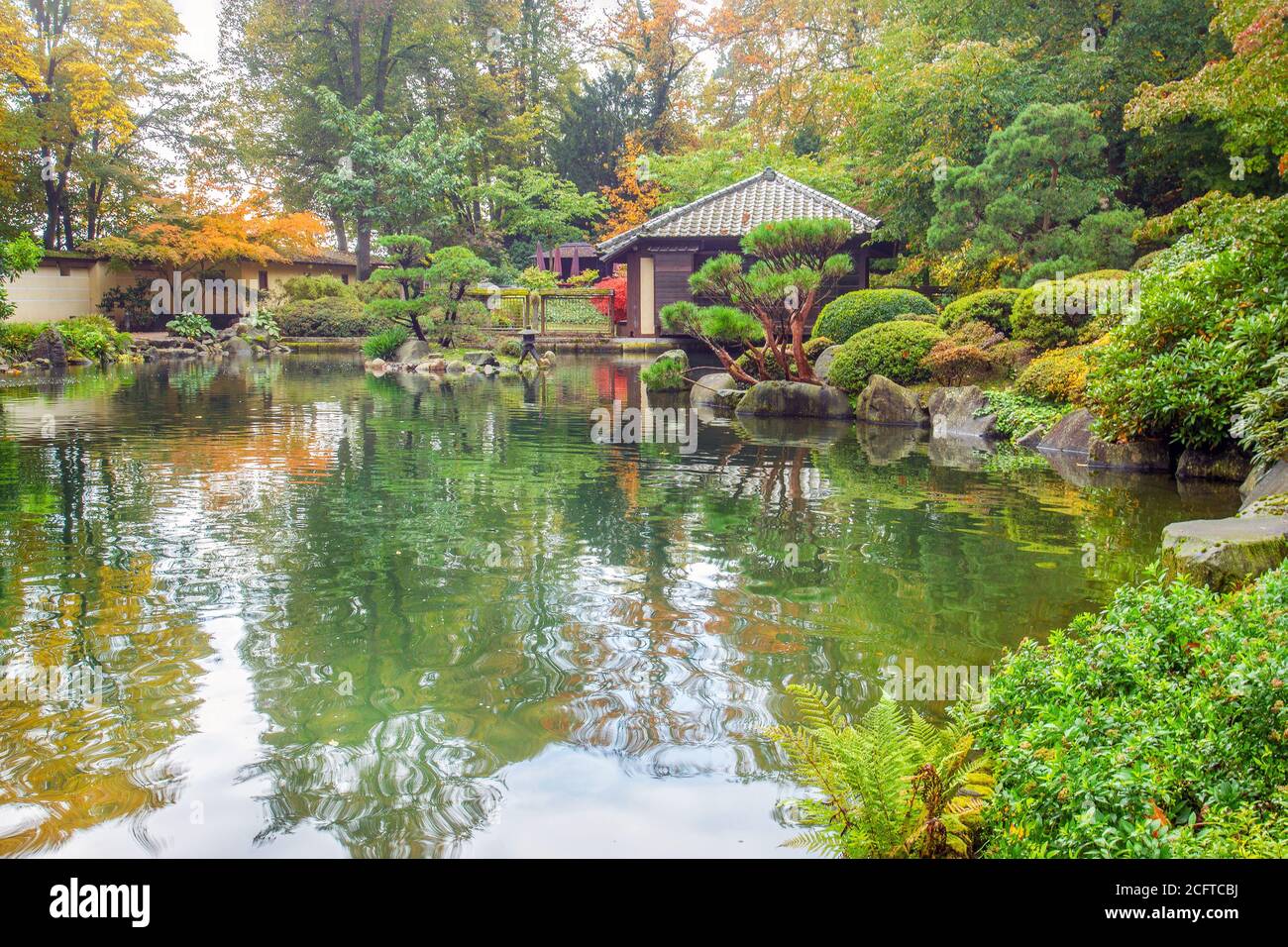 Incredibile natura autunnale e autentica casa da tè nel giardino giapponese a Kaiserslautern. Casa da tè dall'inizio del 20 ° secolo (dal Giappone) Foto Stock