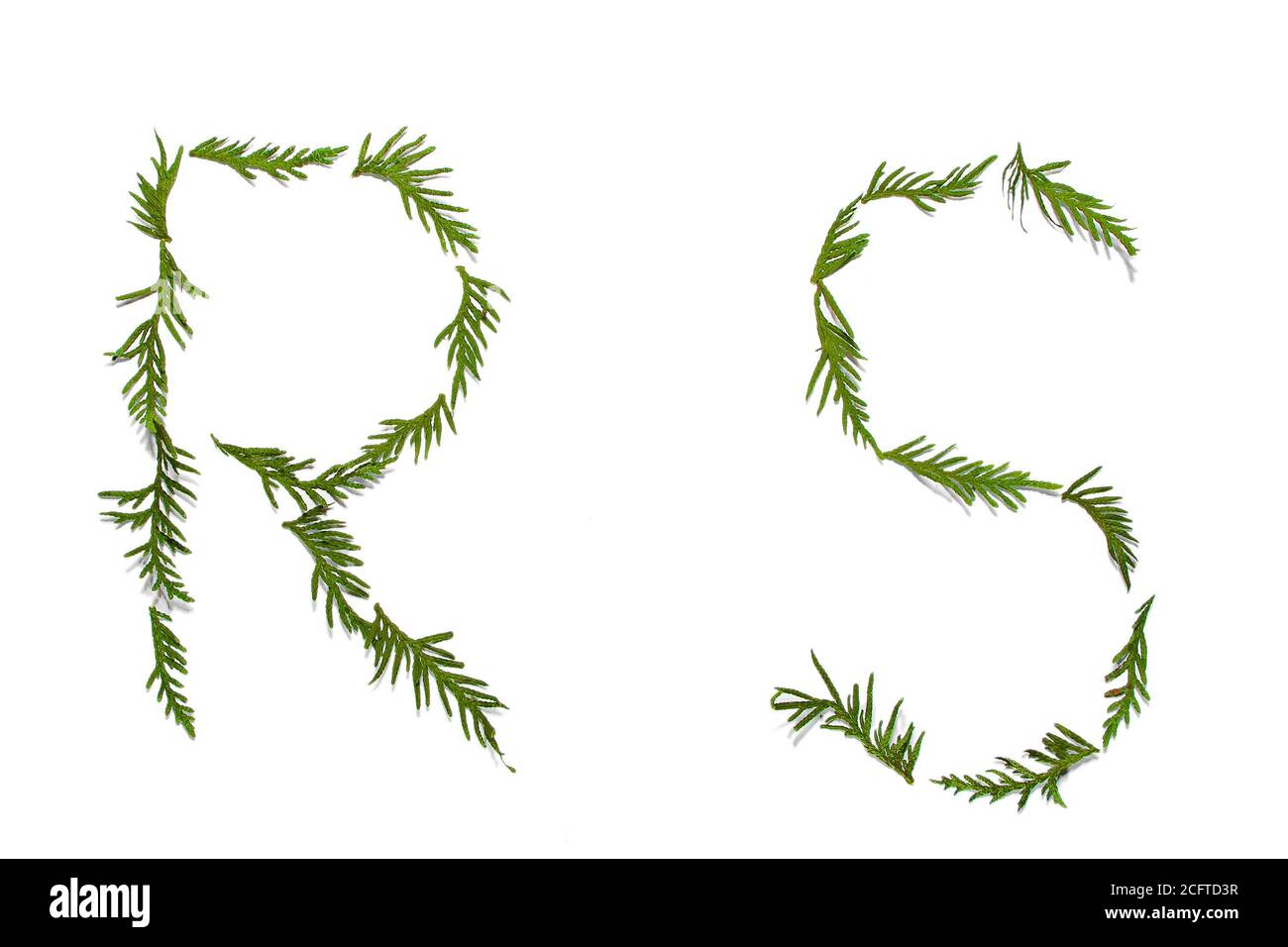 Lettere dell'alfabeto del nuovo anno isolate su sfondo bianco Foto Stock