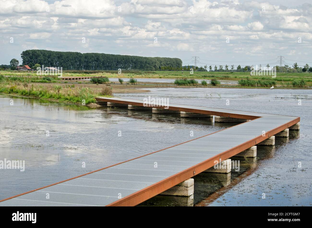 Passerella in acciaio attraverso le zone umide di nuova creazione sull'isola di Dordrecht, Paesi Bassi Foto Stock