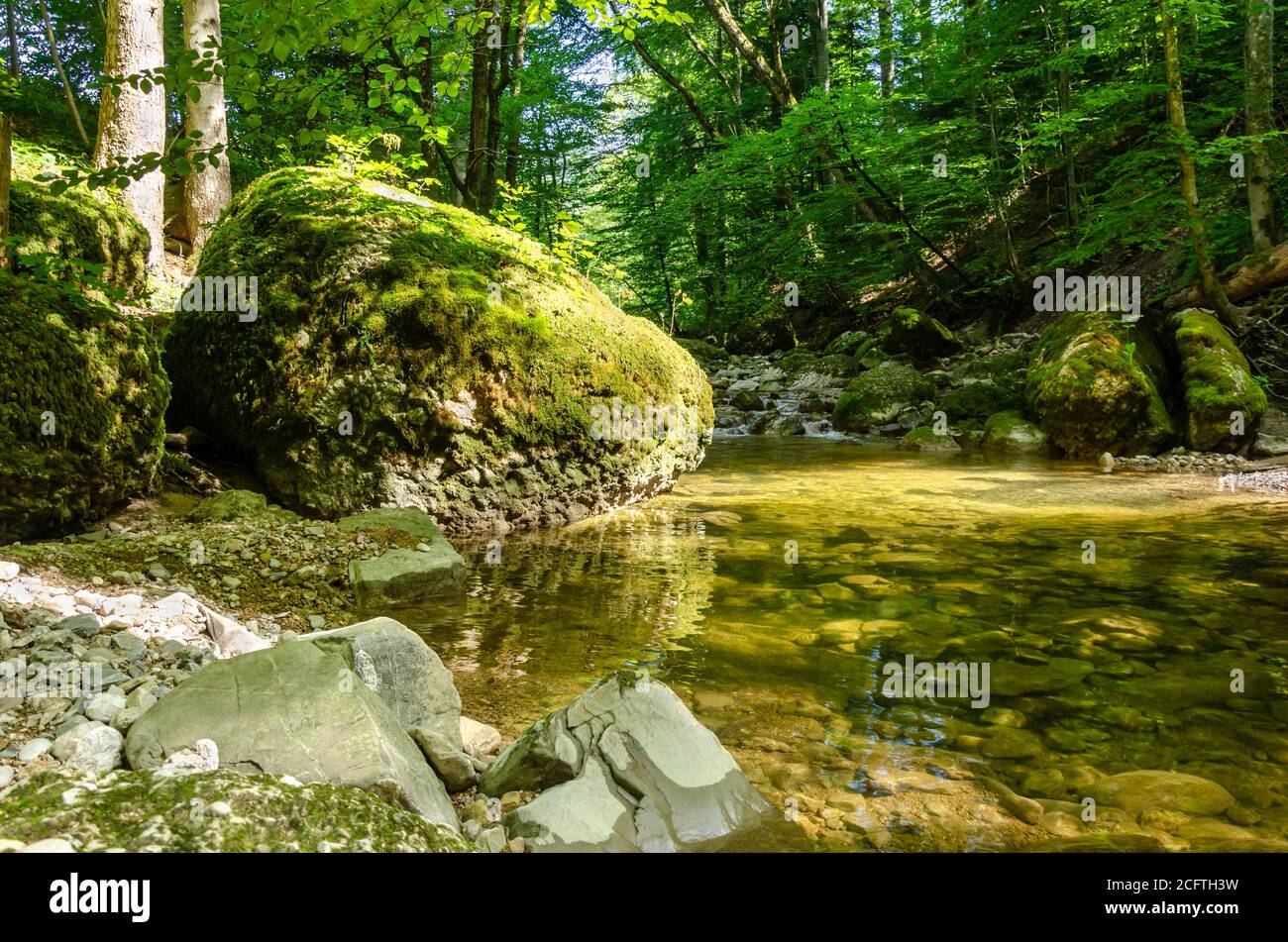 Grande roccia, ricoperta di muschio verde, accanto ad un tranquillo torrente in una foresta soleggiata. Grande pietra al bordo di un letto di ruscello in una foresta decidua. Foto Stock